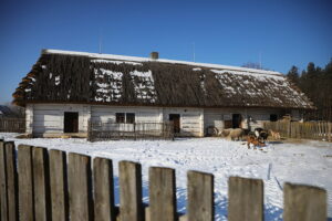 20.01.2026. Tokarnia. Muzeum Wsi Kieleckiej zimą / Fot. Wiktor Taszłow - Radio Kielce