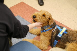 Nietypowi goście odwiedzili małych pacjentów - Radio Kielce Nietypowi goście odwiedzili małych pacjentów - Radio Kielce