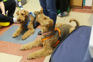 Nietypowi goście odwiedzili małych pacjentów - Radio Kielce Nietypowi goście odwiedzili małych pacjentów - Radio Kielce