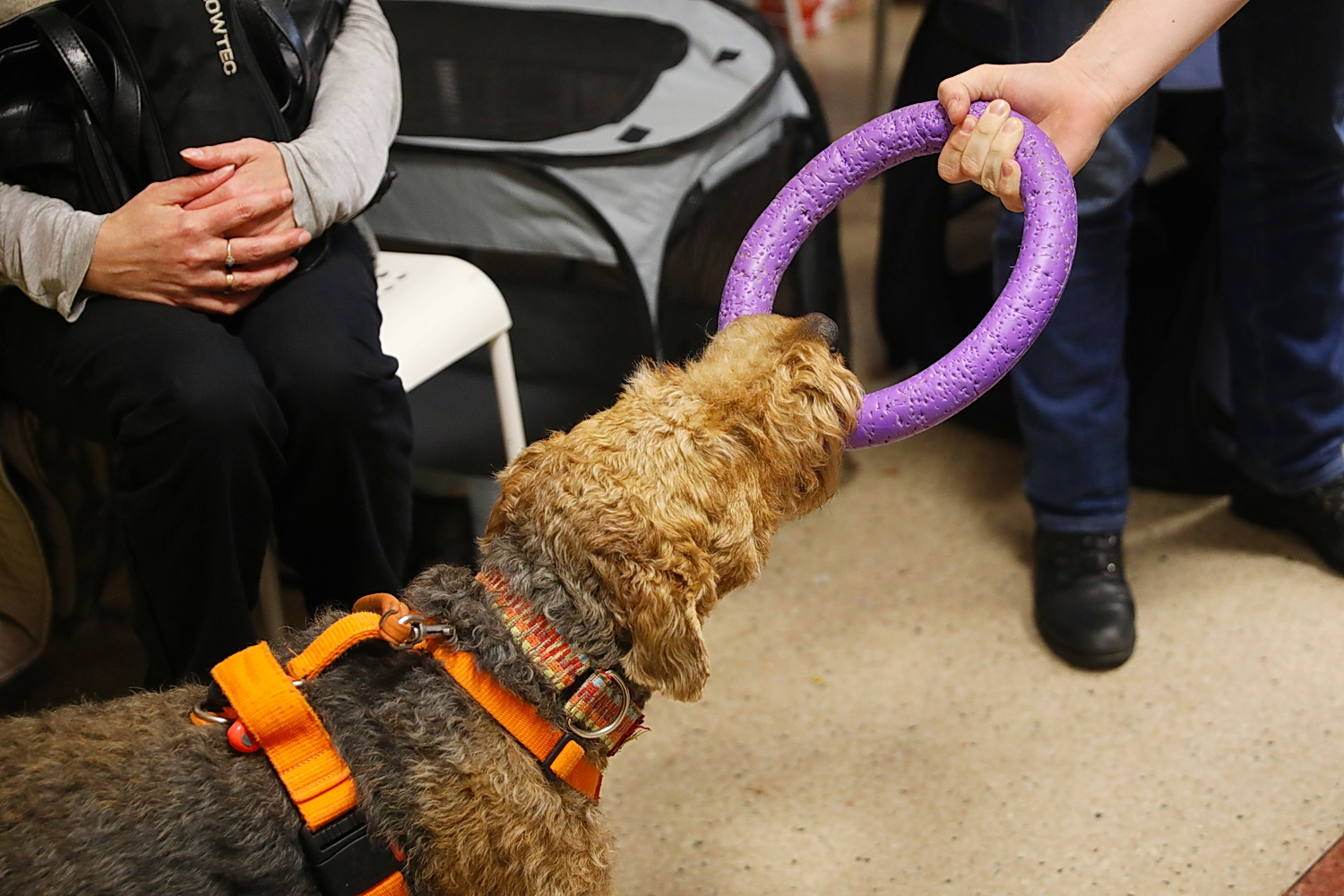 Nietypowi goście odwiedzili małych pacjentów