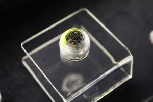 Cenne monety na muzealnej wystawie - Radio Kielce