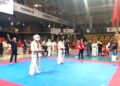 Fot. Klub Karate Morawica i Piekoszów