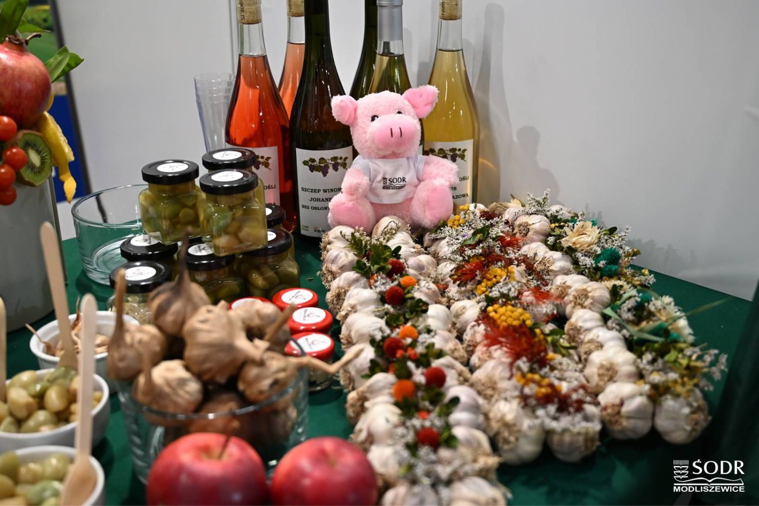 Świętokrzyski Ośrodek Doradztwa Rolniczego na TSW w Kielcach