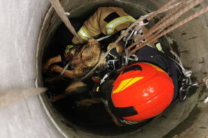 Był w studni. Pomogli mu strażacy - Radio Kielce Był w studni. Pomogli mu strażacy - Radio Kielce