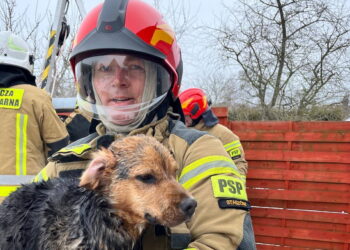 Był w studni. Pomogli mu strażacy