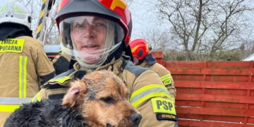 Był w studni. Pomogli mu strażacy