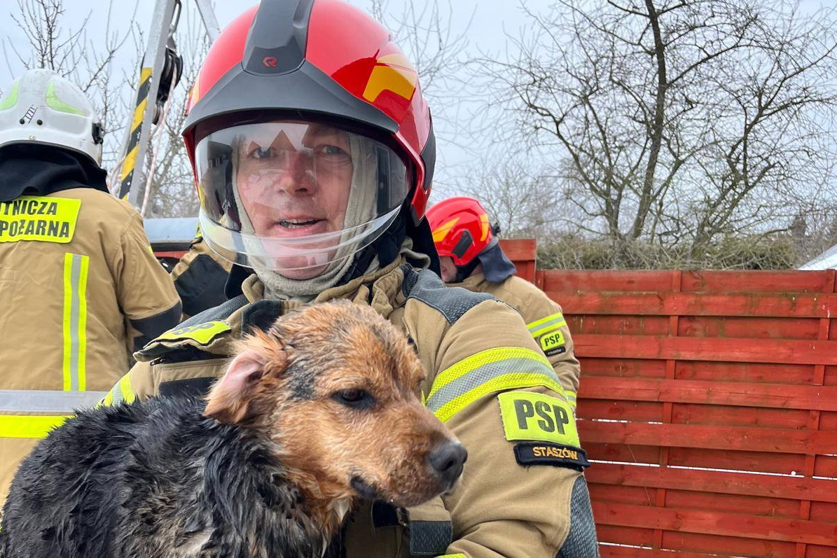 Był w studni. Pomogli mu strażacy