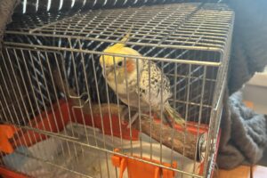 19.01.2026. Kielce. ZDZ. Ferie zimowe - zajęcia dla dzieci / Fot. Iwona Murawska-Bujnowicz - Radio Kielce