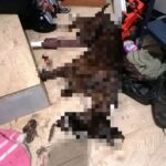 Fot. Policja Świętokrzyska