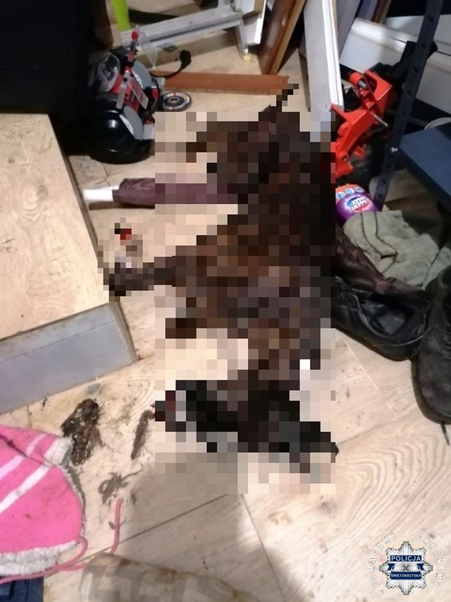 Fot. Policja Świętokrzyska