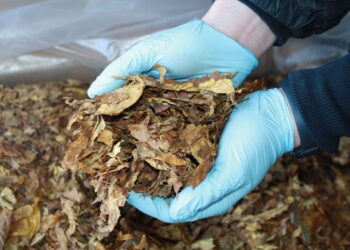 Świętokrzyscy policjanci przeprowadzili akcję na granicy państwa