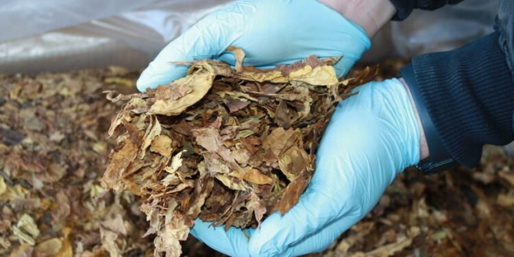 Świętokrzyscy policjanci przeprowadzili akcję na granicy państwa