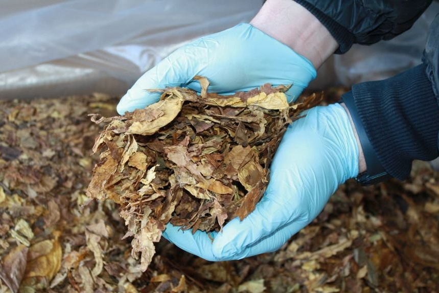 Świętokrzyscy policjanci przeprowadzili akcję na granicy państwa