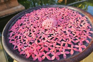 Muzyczne podróże przez świat. Birma / Fot. Majka Szura