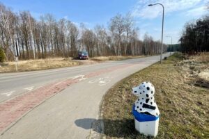 Ulica Batalionów Chłopskich w Starachowicach / źródło: Marek Materek - Facebook