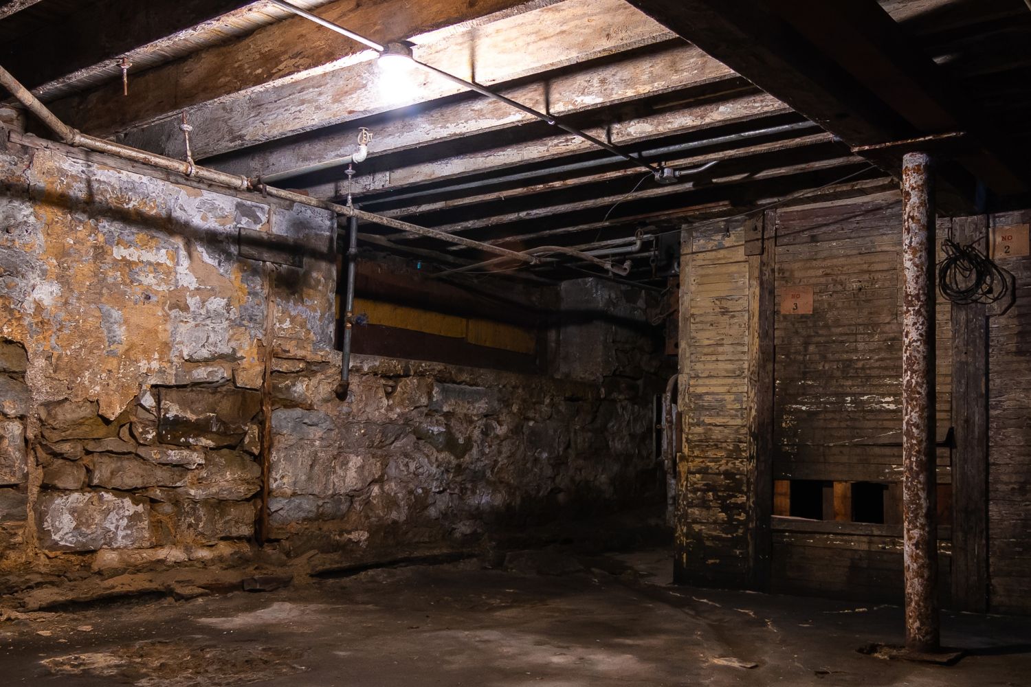 Udusił koleżankę i zakopał w szkolnej piwnicy