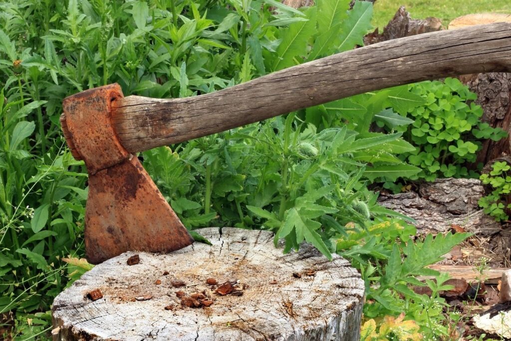 Za zasługi wyciął las, a wieś przypadła niedługo później zakonnikom