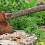 Za zasługi wyciął las, a wieś przypadła niedługo później zakonnikom