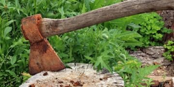 Za zasługi wyciął las, a wieś przypadła niedługo później zakonnikom