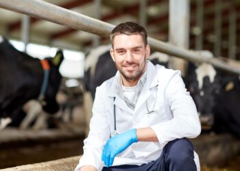 W oborze będzie porodówka