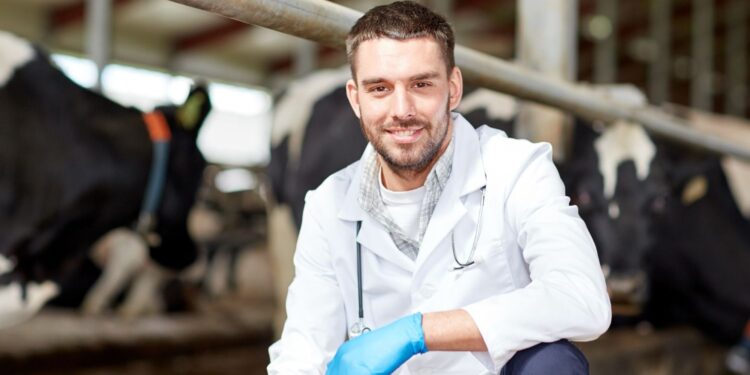 W oborze będzie porodówka