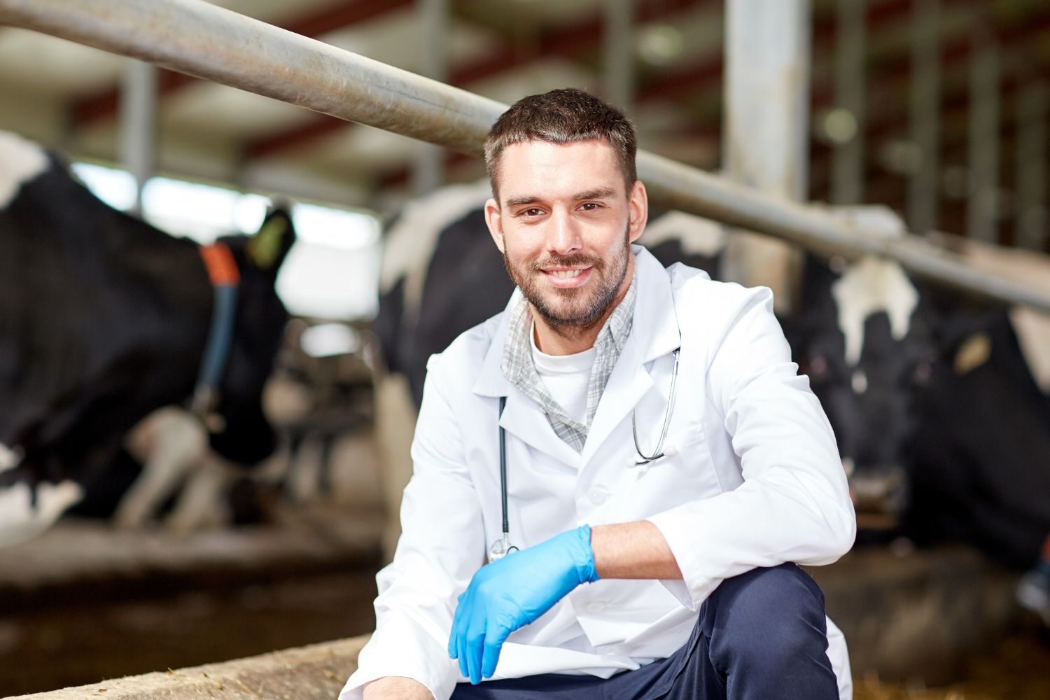 W oborze będzie porodówka