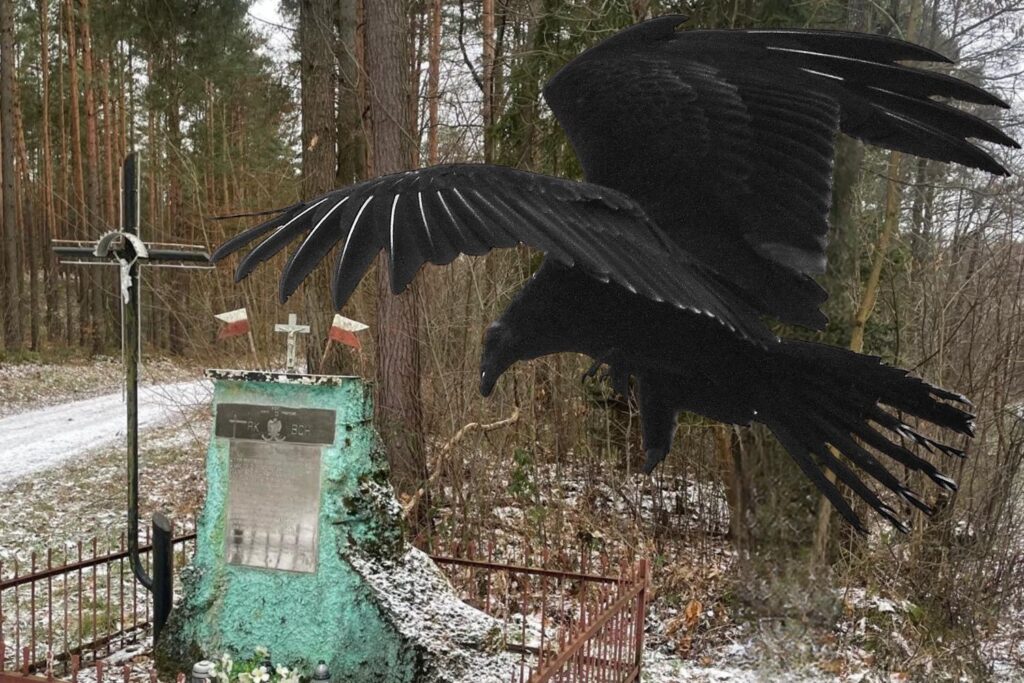 Cień kłamstwa nad tragedią