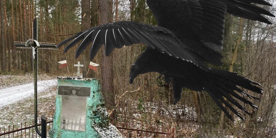 Cień kłamstwa nad tragedią