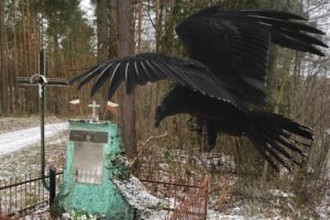 Cień kłamstwa nad tragedią