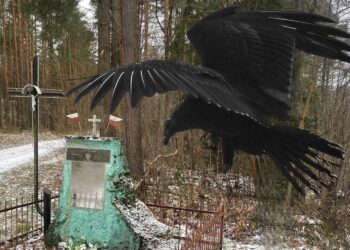 Cień kłamstwa nad tragedią - Radio Kielce Cień kłamstwa nad tragedią