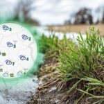 Totalna zmiana. Czeka nas podmuch wiosny