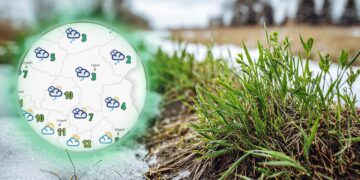 Totalna zmiana. Czeka nas podmuch wiosny