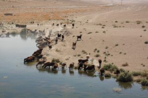 Uzbekistan. Region Boysun / Fot. Ania i Tomasz Chałacińscy