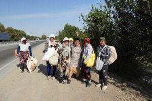 Pola bawełny w Uzbekistanie / Fot. Ania i Tomasz Chałacińscy