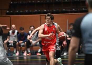 Niedźwiadki okazały się łagodne. Wysokie zwycięstwo UJK w Przemyślu