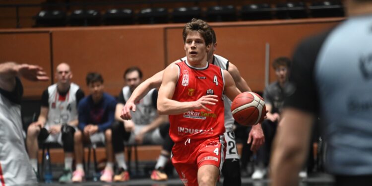 Niedźwiadki okazały się łagodne. Wysokie zwycięstwo UJK w Przemyślu