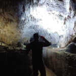 W Jaskini Raj policzono nietoperze. Jest ich więcej niż rok temu - Radio Kielce