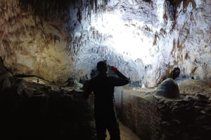 W Jaskini Raj policzono nietoperze. Jest ich więcej niż rok temu - Radio Kielce