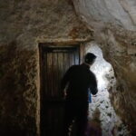 W Jaskini Raj policzono nietoperze. Jest ich więcej niż rok temu - Radio Kielce