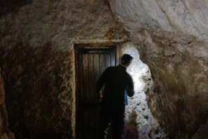 W Jaskini Raj policzono nietoperze. Jest ich więcej niż rok temu - Radio Kielce