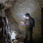 W Jaskini Raj policzono nietoperze. Jest ich więcej niż rok temu - Radio Kielce