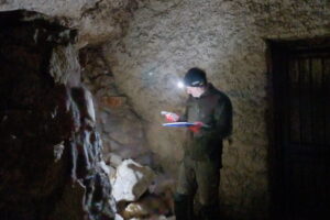 W Jaskini Raj policzono nietoperze. Jest ich więcej niż rok temu - Radio Kielce