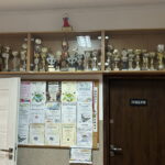 INTERWENCJA. Wysokie koszty utrzymania kontra dobro uczniów - Radio Kielce