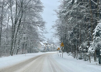 Kiedy styczeń najostrzejszy tedy roczek najpłodniejszy