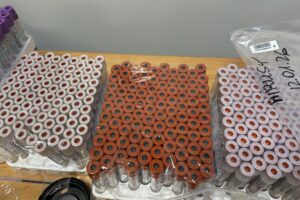 12.01.2026. Kielce. Akcja honorowego dawstwa krwi w Collegium Medicum UJK / Fot. Iwona Murawska-Bujnowicz - Radio Kielce