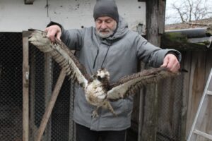 Ośrodek Pomocy Dzikim Zwierzętom Ptasi Azyl Ptakolub w Złotej / Fot. Marta Gajda-Kruk - Radio Kielce