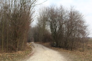 Będzie lepszy dojazd do kaplicy św. Anny - Radio Kielce