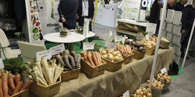 Fot. Jarosław Kubalski - Radio Kielce