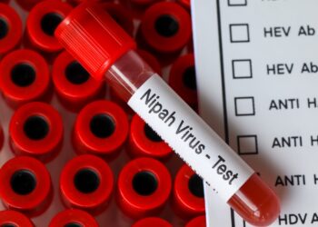 Nipah - kolejny wirus nietoperzy