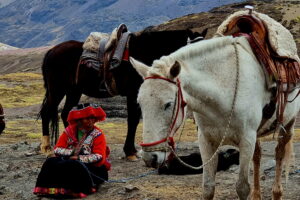 Muzyczne podróże przez świat. Peru – śladami Inków cz.1 - Radio Kielce